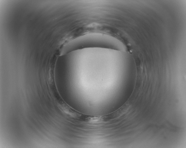 X0000066010088200603171517