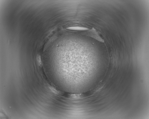 X0000066010089200603171517