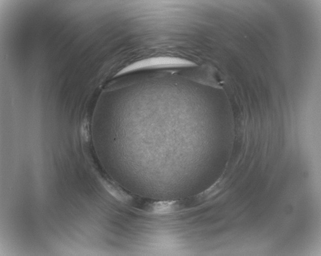 X0000066010090200603171517