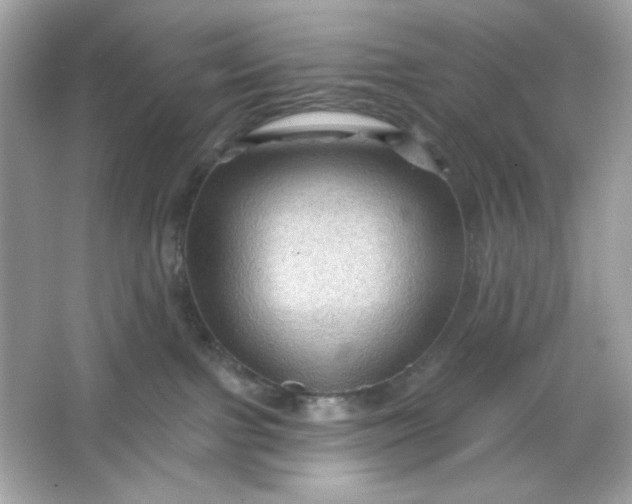 X0000066010091200603171517