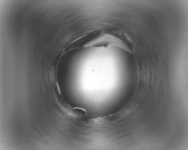 X0000066010092200603171517