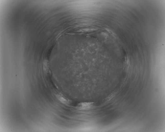 X0000066010093200603171517