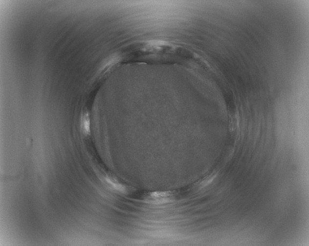 X0000066010095200603171517