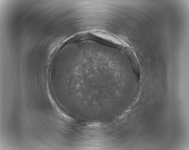 X0000066010097200603171516