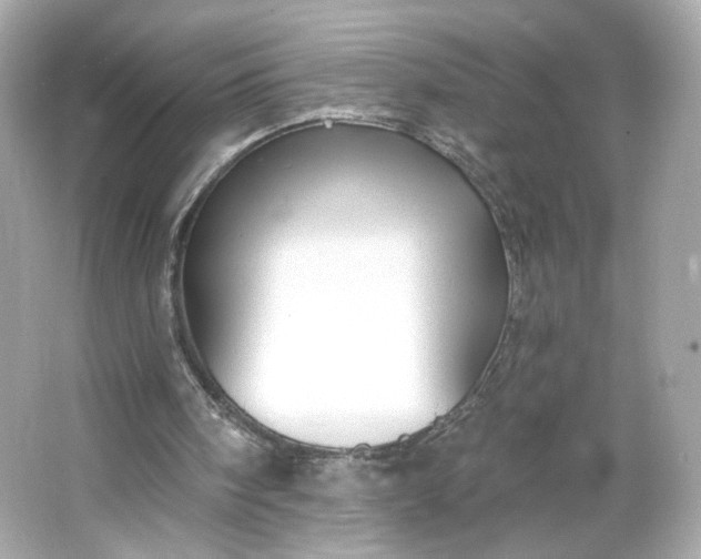 X0000066010098200603171516