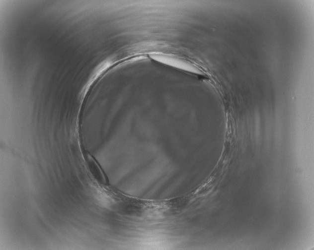 X0000066010099200603171516