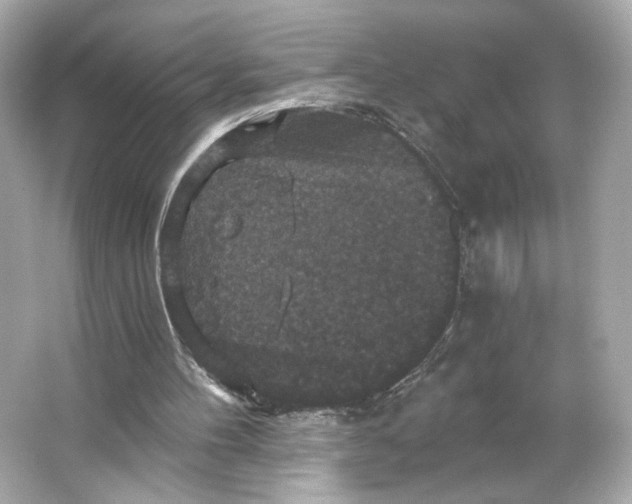 X0000066010100200603171516