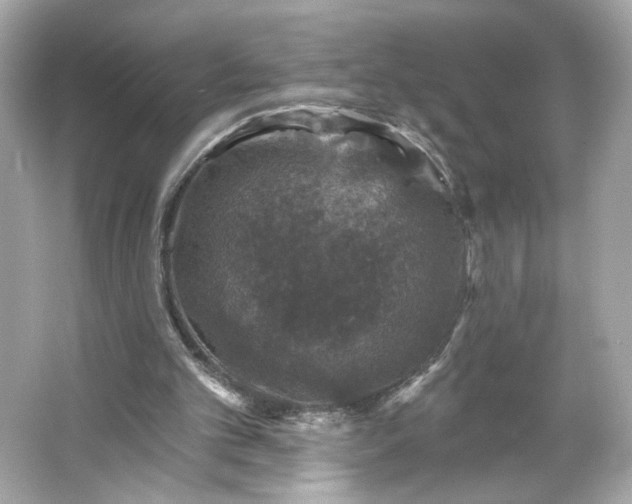 X0000066010101200603171516