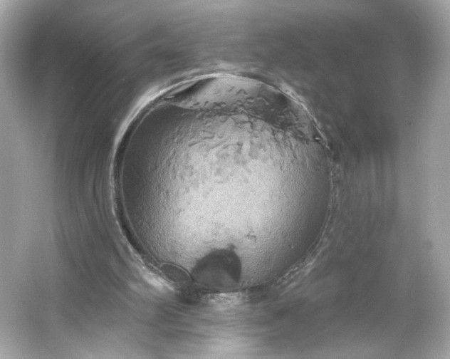 X0000066010102200603171516