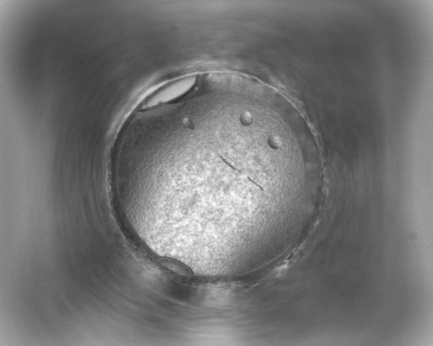 X0000066010103200603171516