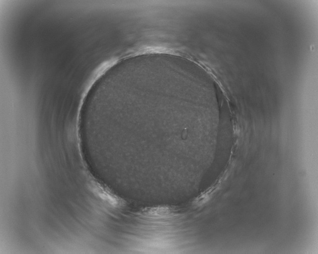 X0000066010104200603171516