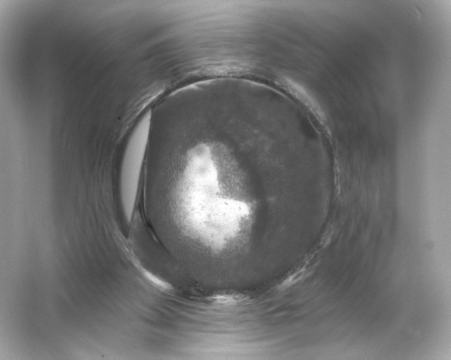 X0000066010105200603171516