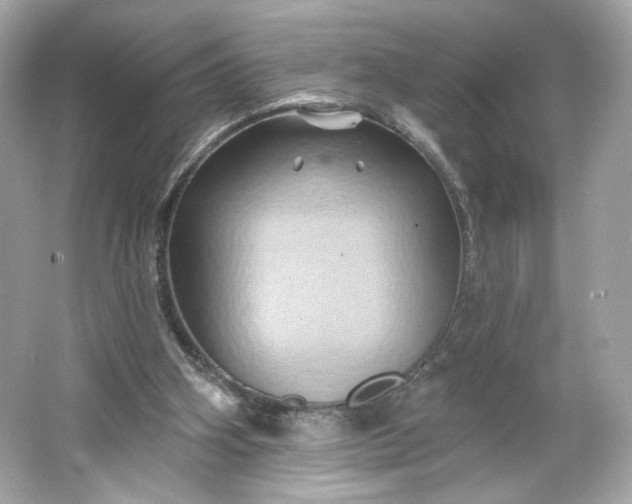 X0000066010106200603171516