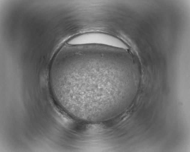 X0000066010107200603171516