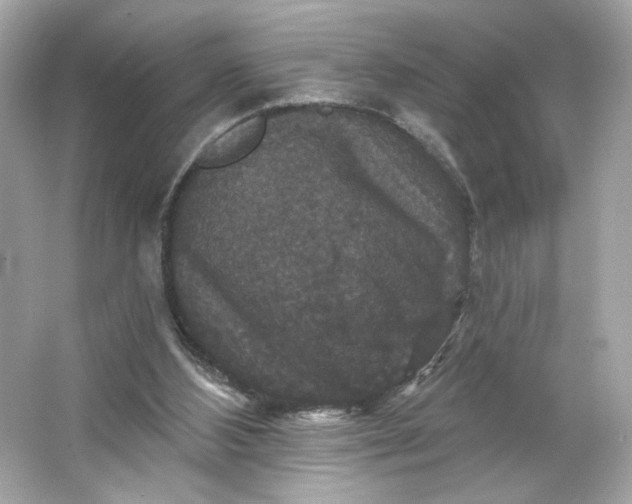 X0000066010108200603171516