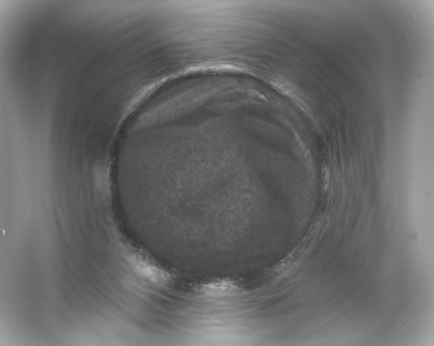 X0000066010112200603171516