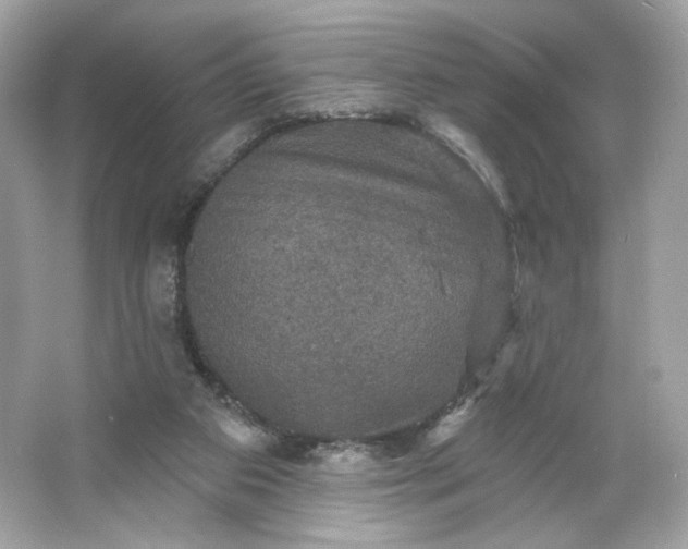 X0000066010113200603171516