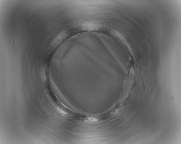 X0000066010114200603171516