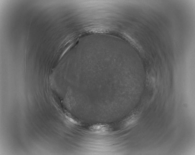 X0000066010117200603171516