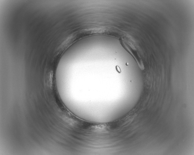 X0000066010118200603171516