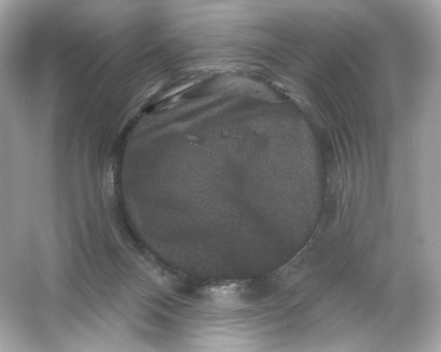 X0000066010120200603171516