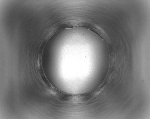 X0000066010121200603171516