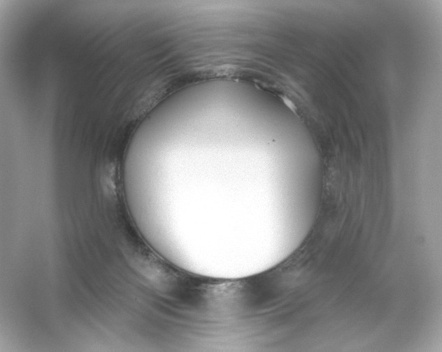 X0000066010122200603171516