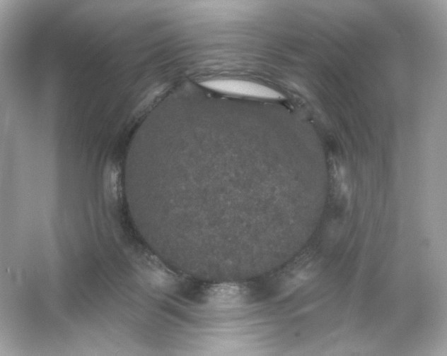 X0000066010123200603171516