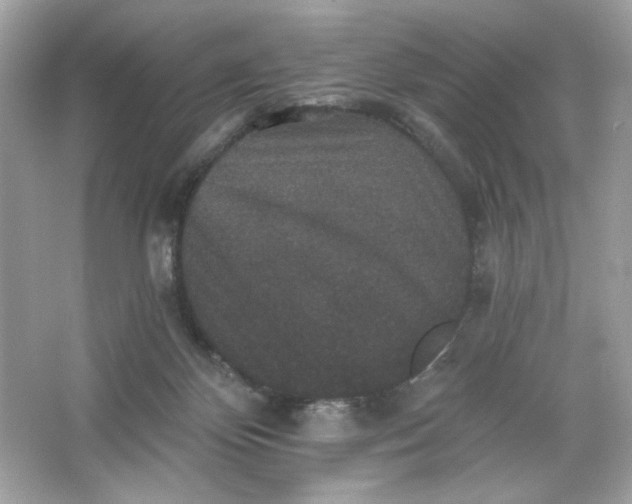 X0000066010124200603171516