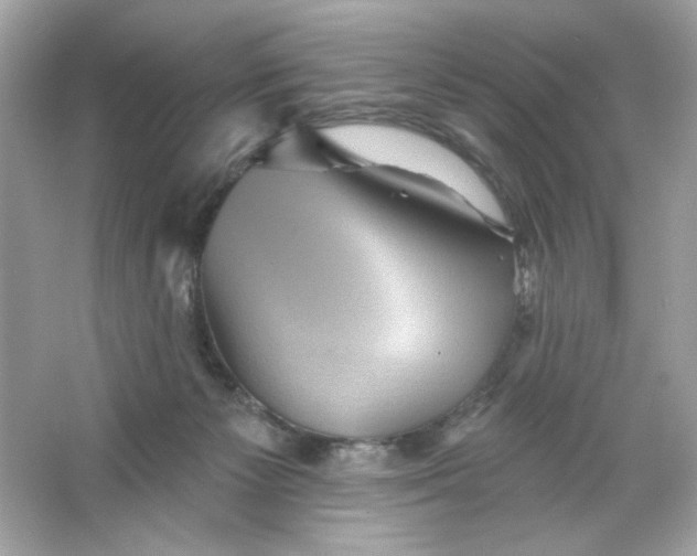 X0000066010125200603171516