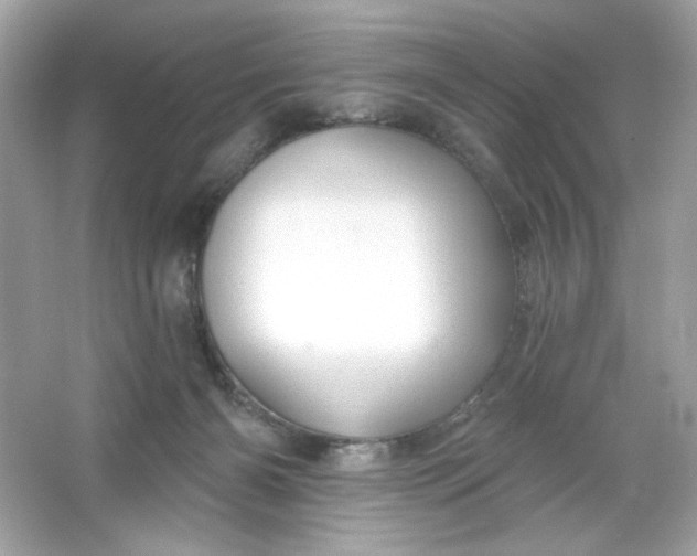 X0000066010126200603171516