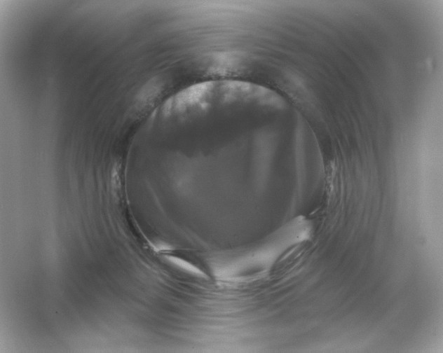 X0000066010127200603171516