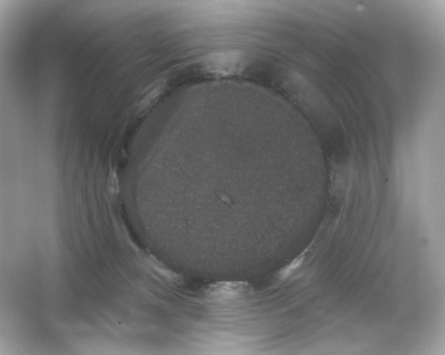 X0000066010128200603171516