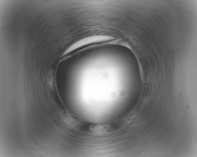 X0000066010129200603171516