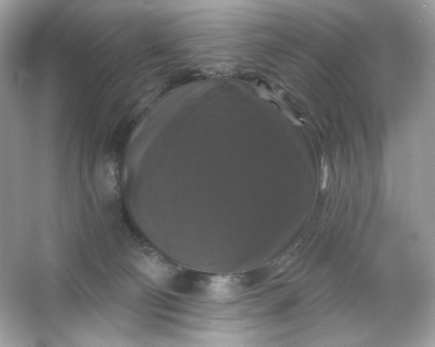 X0000066010130200603171516