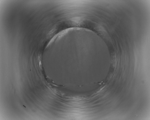 X0000066010131200603171516