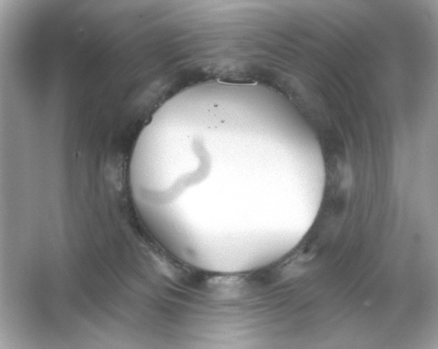 X0000066010133200603171516