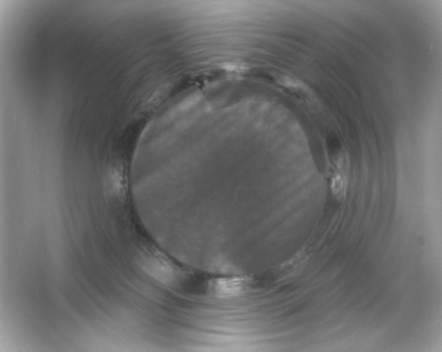 X0000066010134200603171516