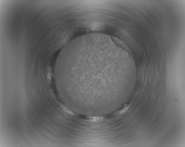 X0000066010135200603171516