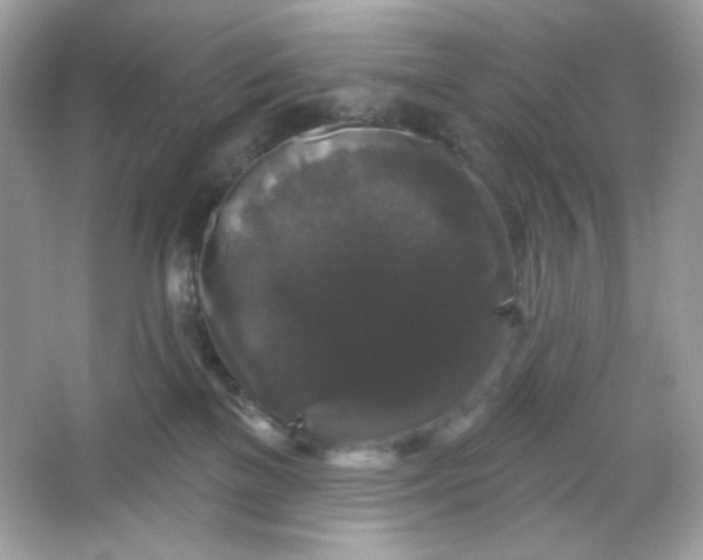 X0000066010137200603171516