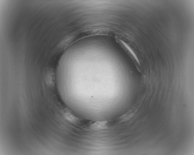 X0000066010138200603171515