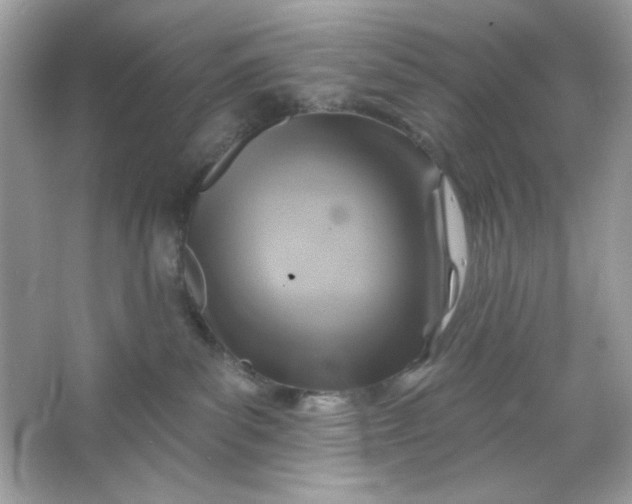 X0000066010139200603171515