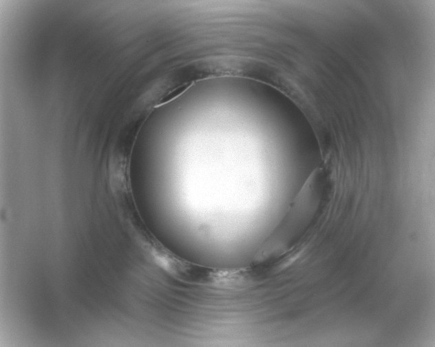 X0000066010141200603171515