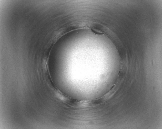 X0000066010142200603171515