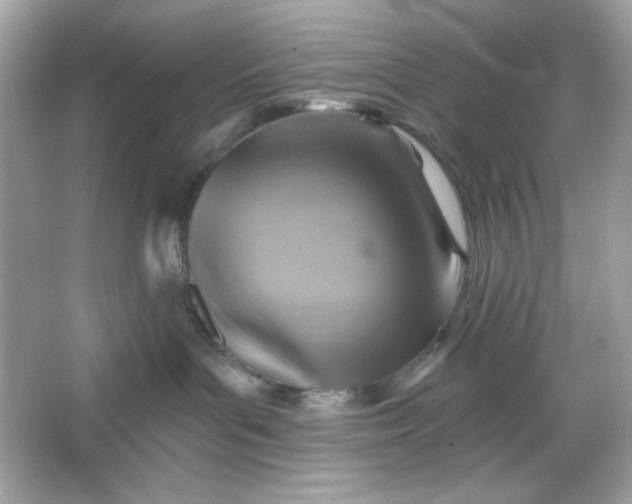 X0000066010143200603171515