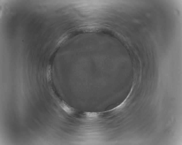 X0000066010144200603171515