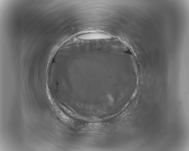 X0000066010145200603171515