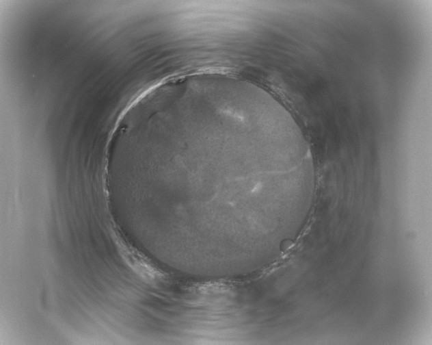 X0000066010146200603171515