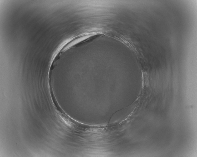 X0000066010147200603171515