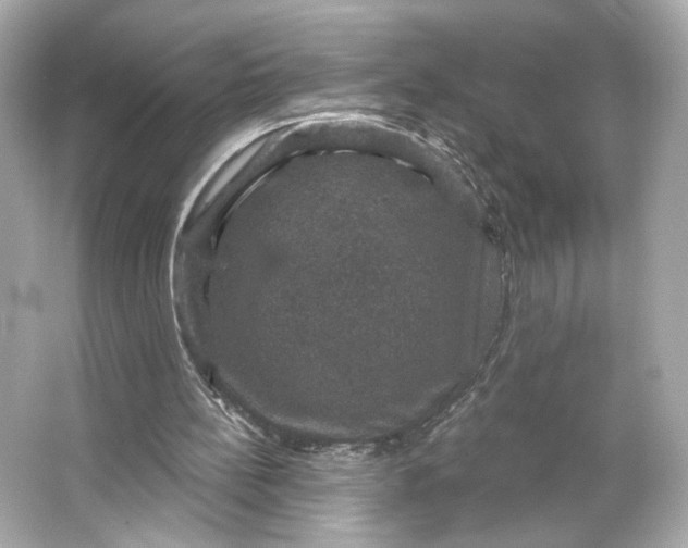 X0000066010148200603171515